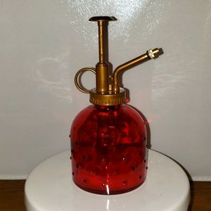 Pretty Red Hobnail Mister